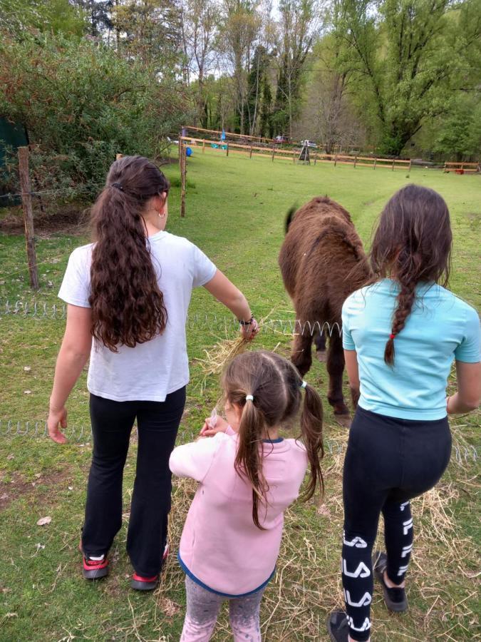 Cedres Bleus De Joany Chez Nathalie Viviez Exterior photo