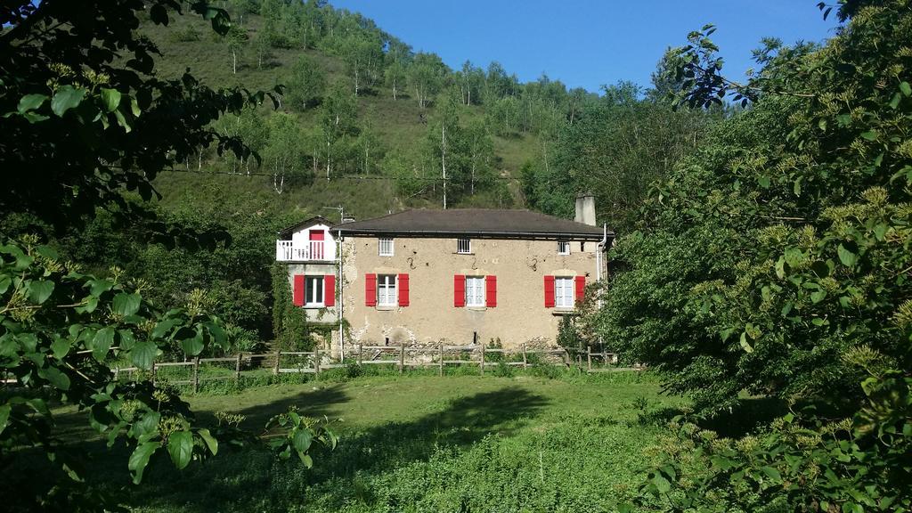 Cedres Bleus De Joany Chez Nathalie Viviez Exterior photo