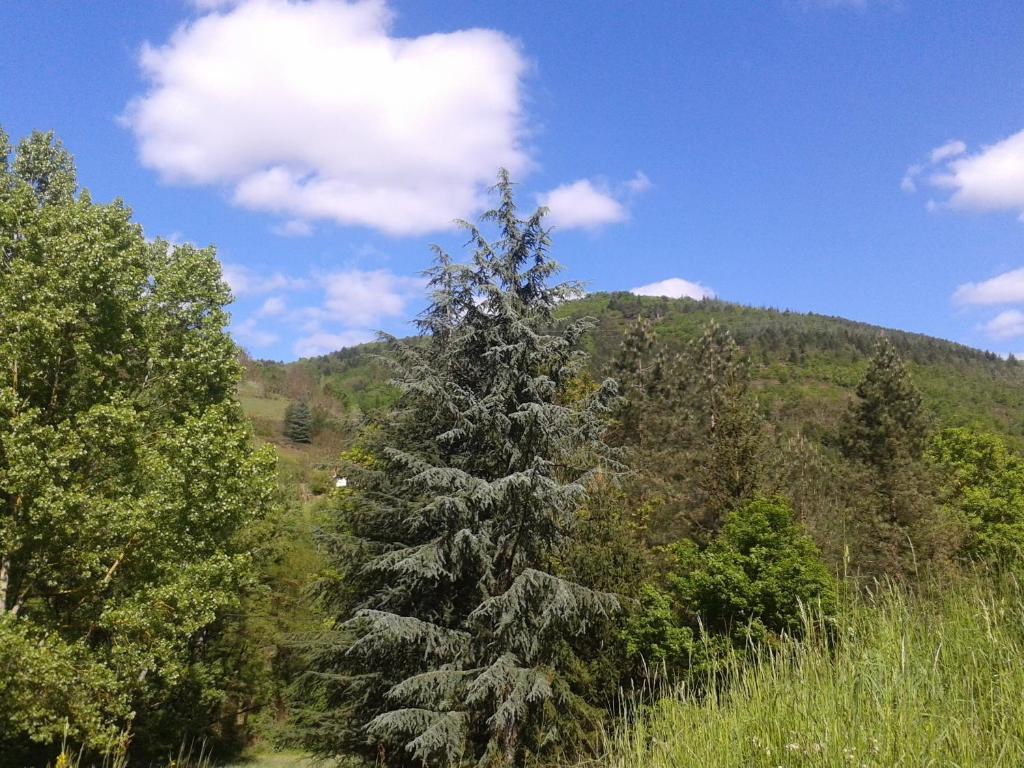 Cedres Bleus De Joany Chez Nathalie Viviez Exterior photo