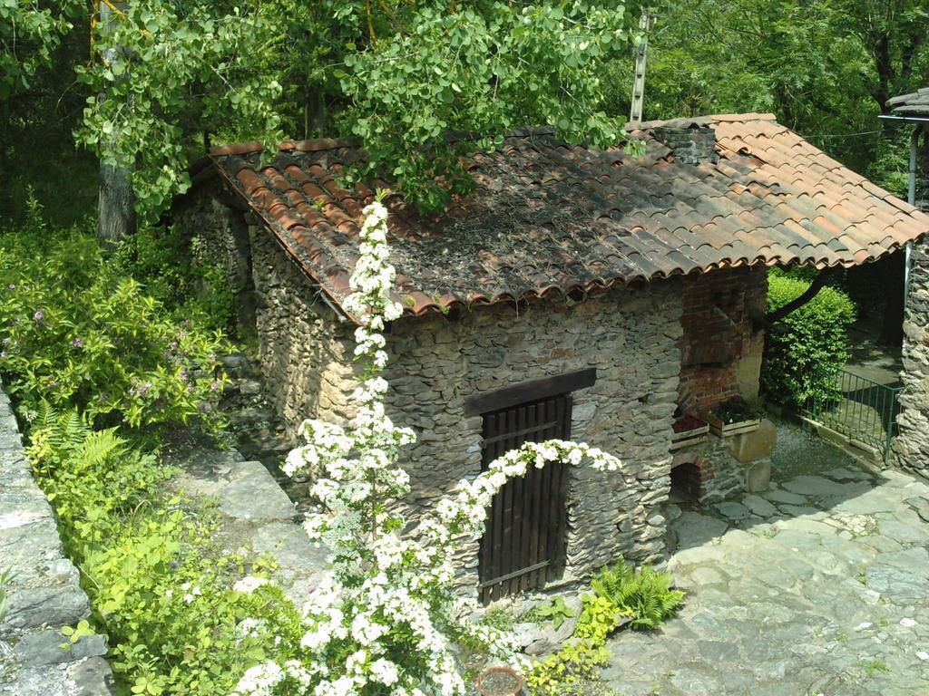 Cedres Bleus De Joany Chez Nathalie Viviez Exterior photo